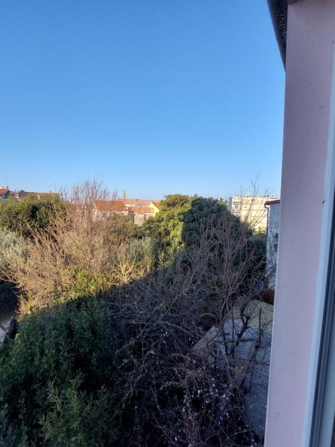 Room And Apartments Antea Rovinj Bagian luar foto